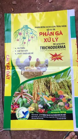 Review Lẩu Chay Hoằng Đạt 2: Trải Nghiệm Thực Tế Tại Dĩ An, Bình Dương Review Lẩu Chay Hoằng Đạt 2: Trải Nghiệm Thực Tế Tại Dĩ An, Bình Dương