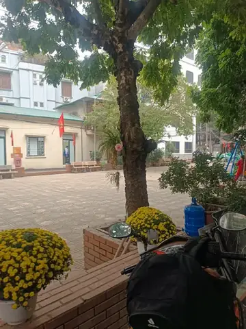 Ngõ 80 Phố Nhân Hòa: Đánh Giá Toàn Diện Về Vị Trí, Giao Thông Và Tiềm Năng Bất Động Sản