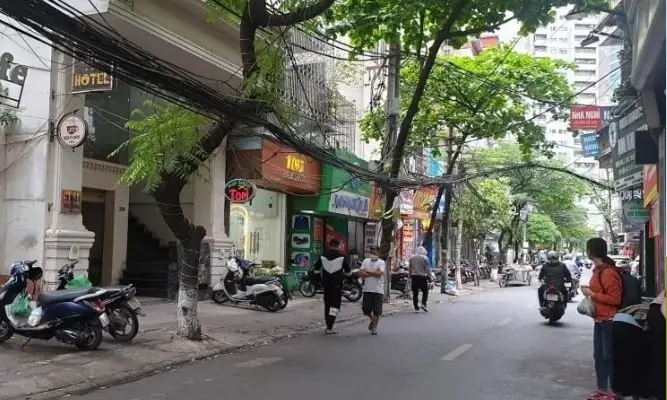 Ngõ 80 Phố Nhân Hòa: Đánh Giá Toàn Diện Về Vị Trí, Giao Thông Và Tiềm Năng Bất Động Sản