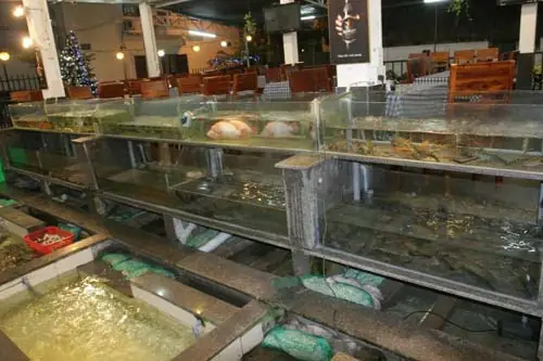 Nhà Hàng Hoa Lộc Vừng: Trải Nghiệm Ẩm Thực Tươi Mát Giữa Lòng Thành Phố Nhà Hàng Hoa Lộc Vừng: Trải Nghiệm Ẩm Thực Tươi Mát Giữa Lòng Thành Phố