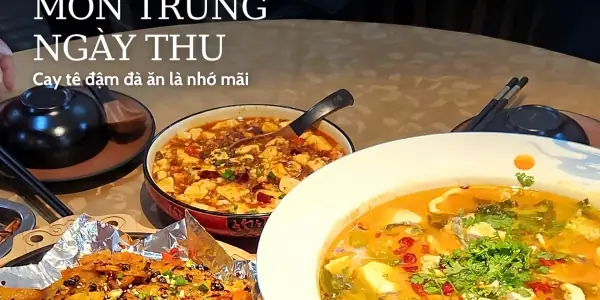 Nhà Hàng Thực Vi Thiên Review: Tinh Hoa Ẩm Thực Việt Giữa Lòng Hà Nội