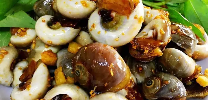 Ốc Hoà Trần Văn Đang: Tiểu Sử, Đóng Góp Và Di Sản Ốc Hoà Trần Văn Đang: Tiểu Sử, Đóng Góp Và Di Sản