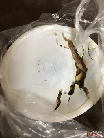 Phở Gà 3 Anh Em: Đánh Giá Chi Tiết Về Hương Vị Và Giá Cả