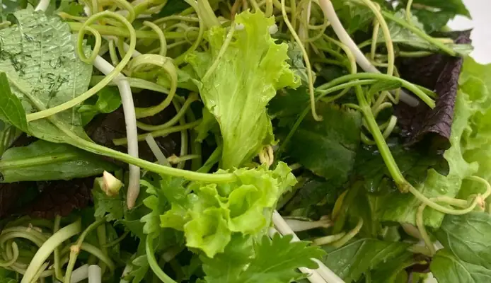 Quán Bún Chả Ngọc Xuân: Đánh Giá Toàn Diện Từ A-z