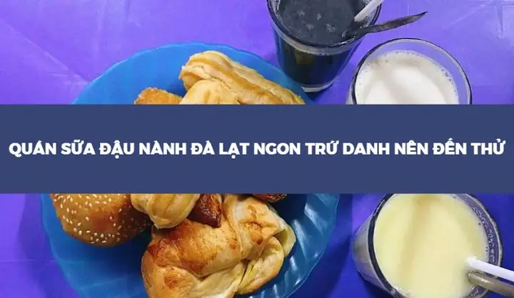 Quán Sữa Đậu Nành Đà Lạt Ngon Trứ Danh: Đánh Giá Chi Tiết Và Hướng Dẫn Lựa Chọn Quán Sữa Đậu Nành Đà Lạt Ngon Trứ Danh: Đánh Giá Chi Tiết Và Hướng Dẫn Lựa Chọn