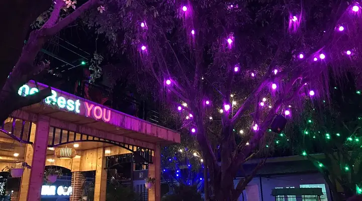 Viva Star Coffee Thành Thái: Đánh Giá Toàn Diện Về Không Gian, Đồ Uống Và Dịch Vụ Viva Star Coffee Thành Thái: Đánh Giá Toàn Diện Về Không Gian, Đồ Uống Và Dịch Vụ