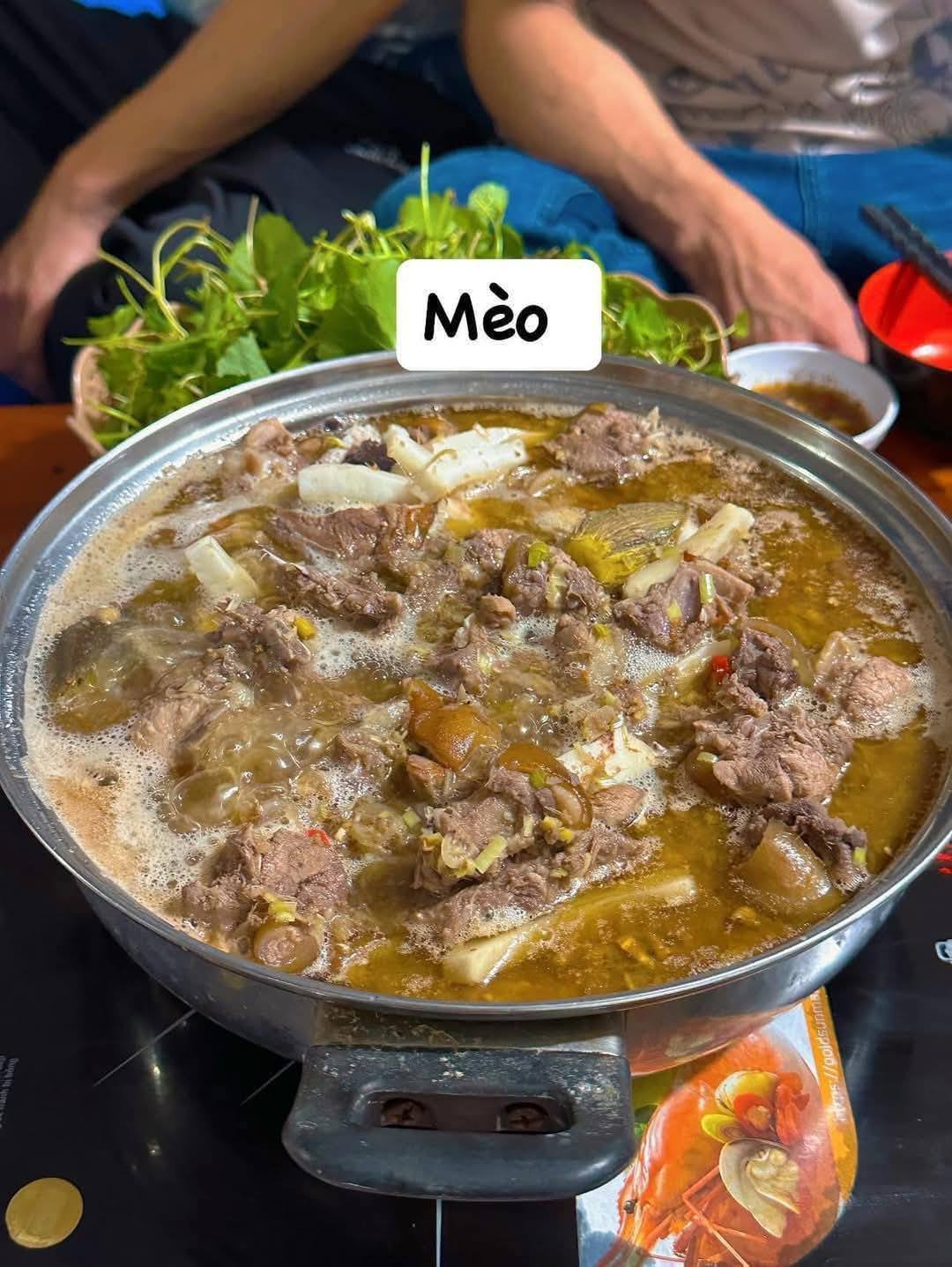 Học Ngay Cách Nấu Lẩu Mèo Nước Dừa Full Topping Siêu Hấp Dẫn 1 Cách Nấu Lẩu Mèo Nước Dừa Siêu Dễ, Nước Dùng Trong Veo Hút Hồn