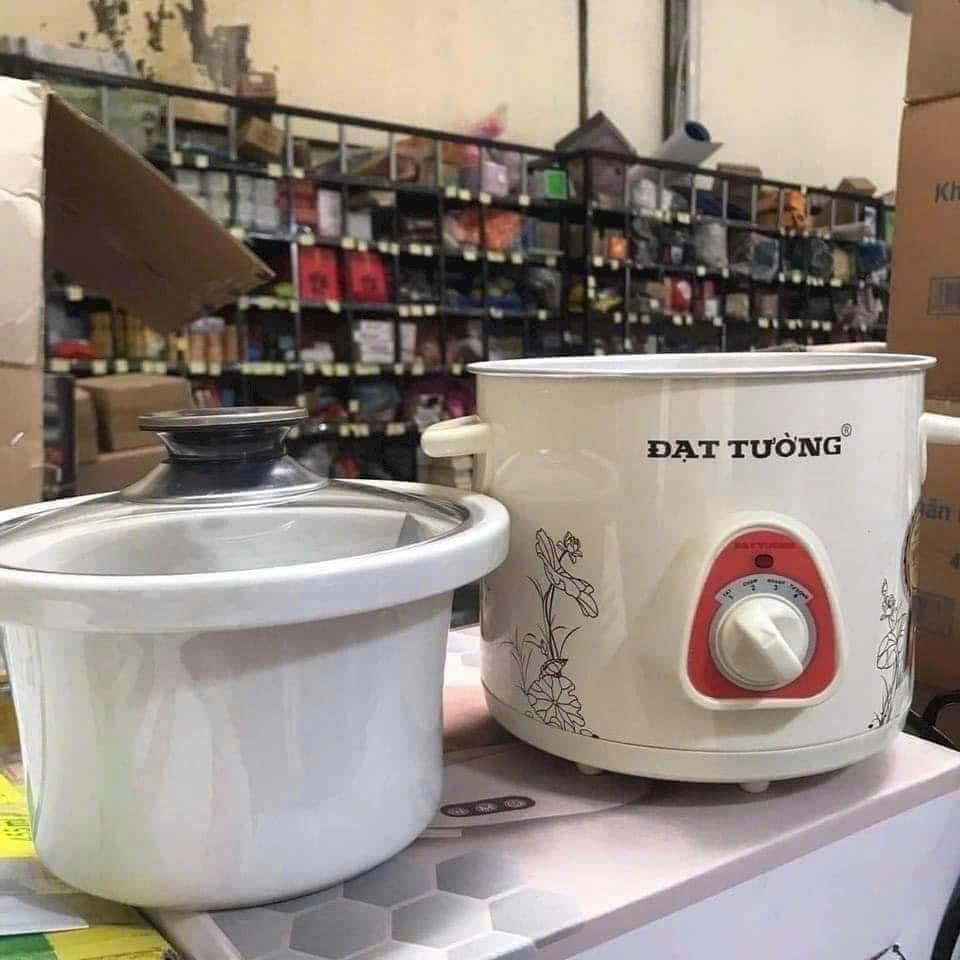 Cách sử dụng nồi nấu cháo chậm Đạt Tường chuẩn từ A-Z