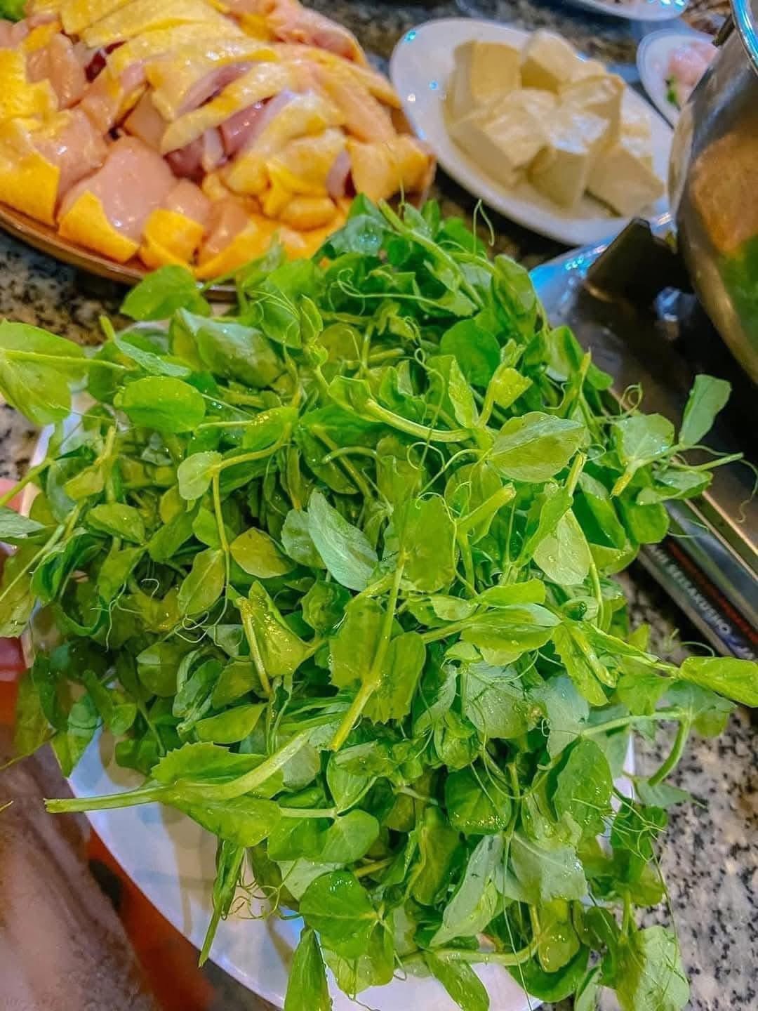 Tham khảo cách nấu ngọn rau đậu Hà Lan mềm ngon không đắng