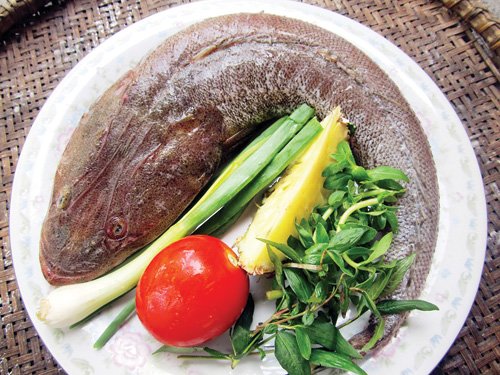 cách nấu canh chua cá chai thơm ngon chuẩn vị miền Tây