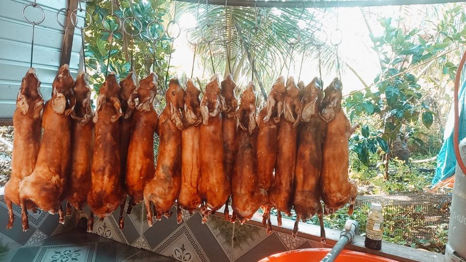 Cách cắt tiết và làm thịt thỏ nhanh, sạch, không bị ám mùi 3 Cách cắt tiết và làm thịt thỏ đúng chuẩn không bị hôi