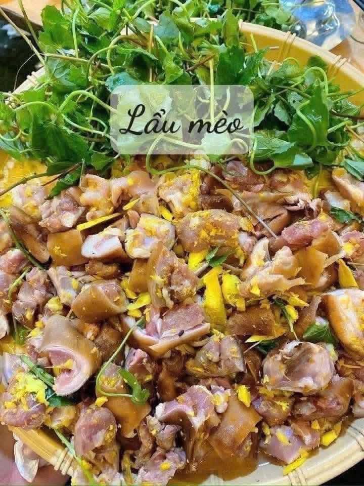 Hướng dẫn cách nấu lẩu mèo rau má mềm ngon ai cũng mê