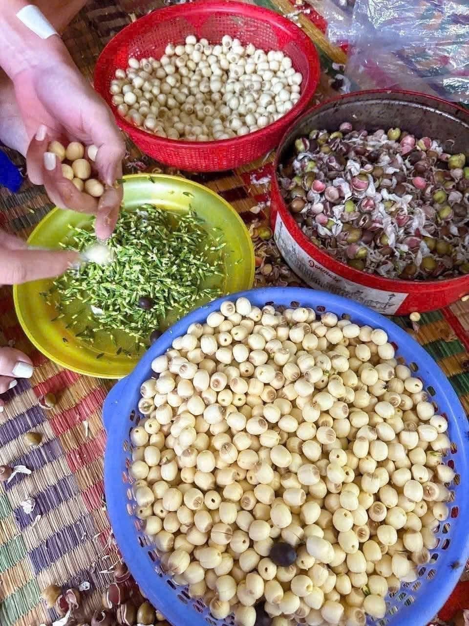 Mẹo dân gian giúp cách nấu hạt sen tươi mau mềm hiệu quả hơn 1 Mẹo dân gian giúp cách nấu hạt sen tươi mau mềm hiệu quả hơn