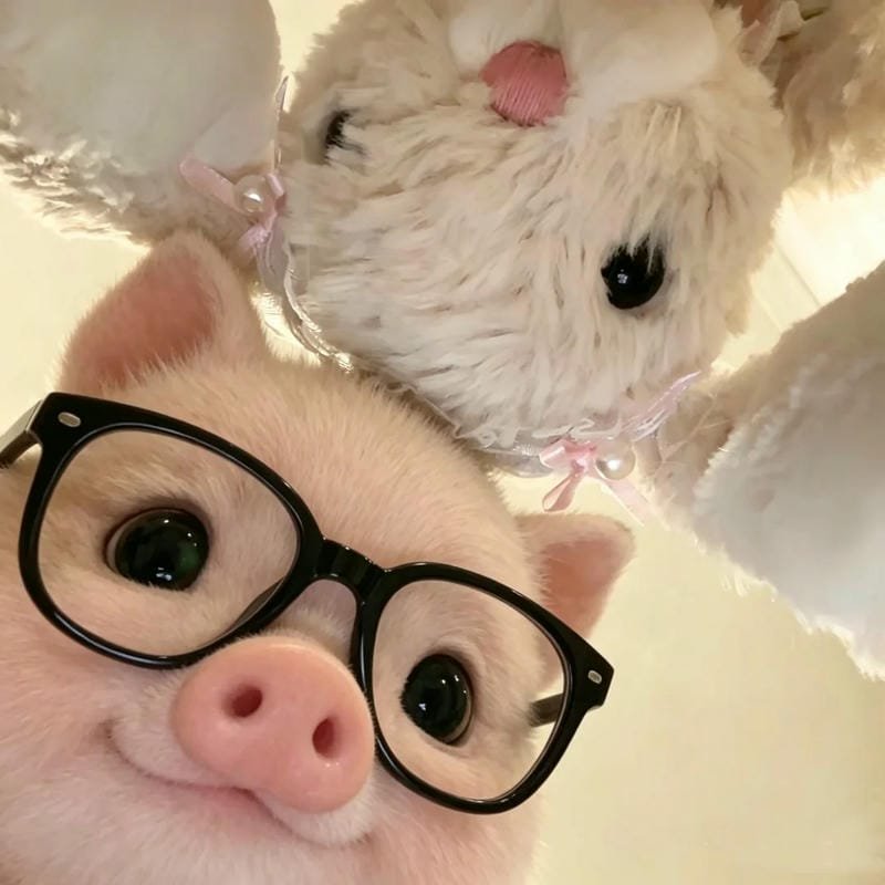 ảnh cute vô tri 22