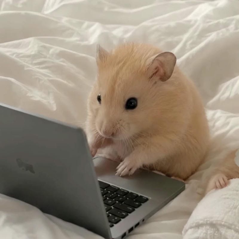 ảnh cute vô tri 30