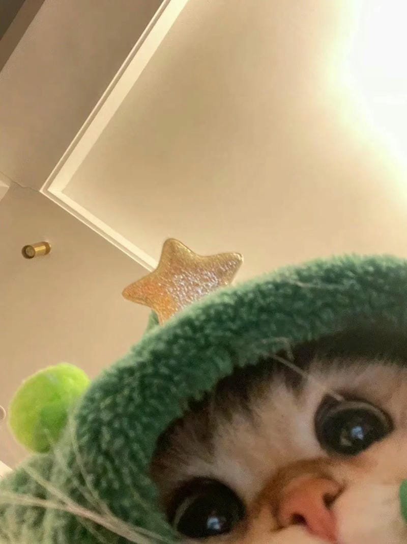 ảnh cute vô tri 32