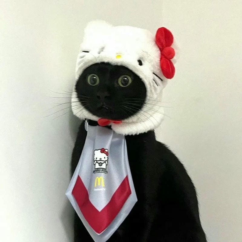 ảnh cute vô tri 34