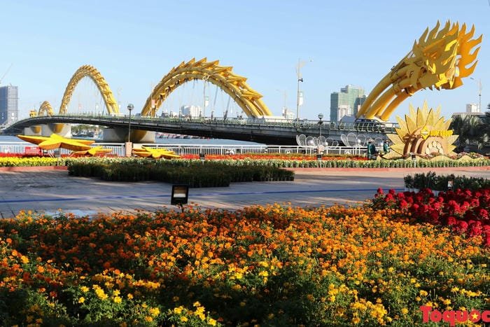 ảnh đà nẵng 13