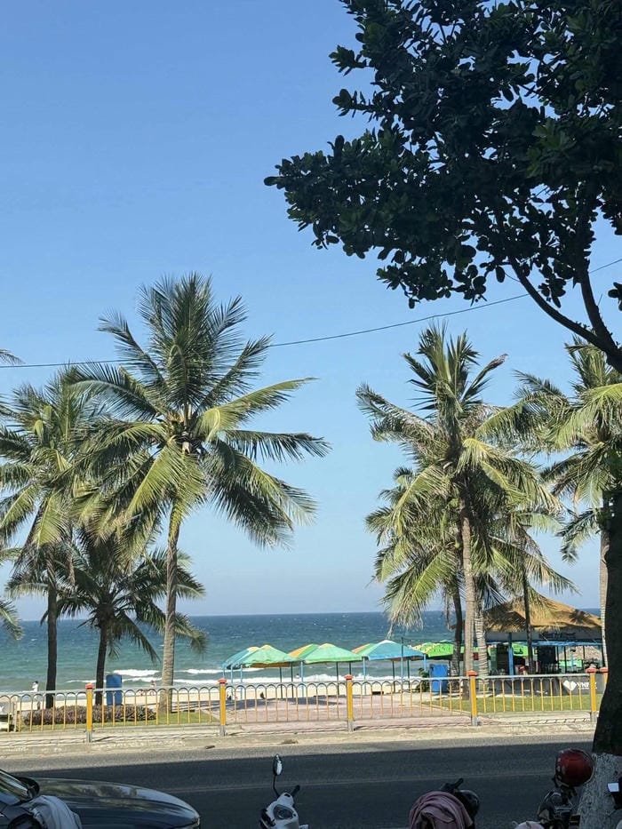 ảnh đà nẵng 27