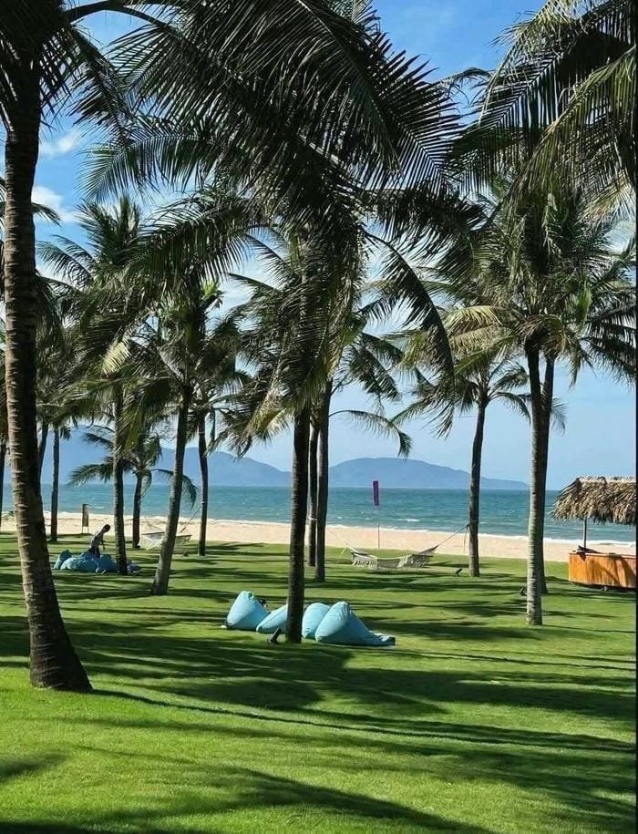 ảnh đà nẵng 31