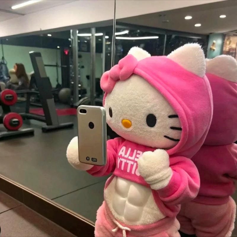 145+ Ảnh Hello Kitty vô tri cute nhưng đầy biểu cảm khó đỡ 21 ảnh hello kitty vô tri 21