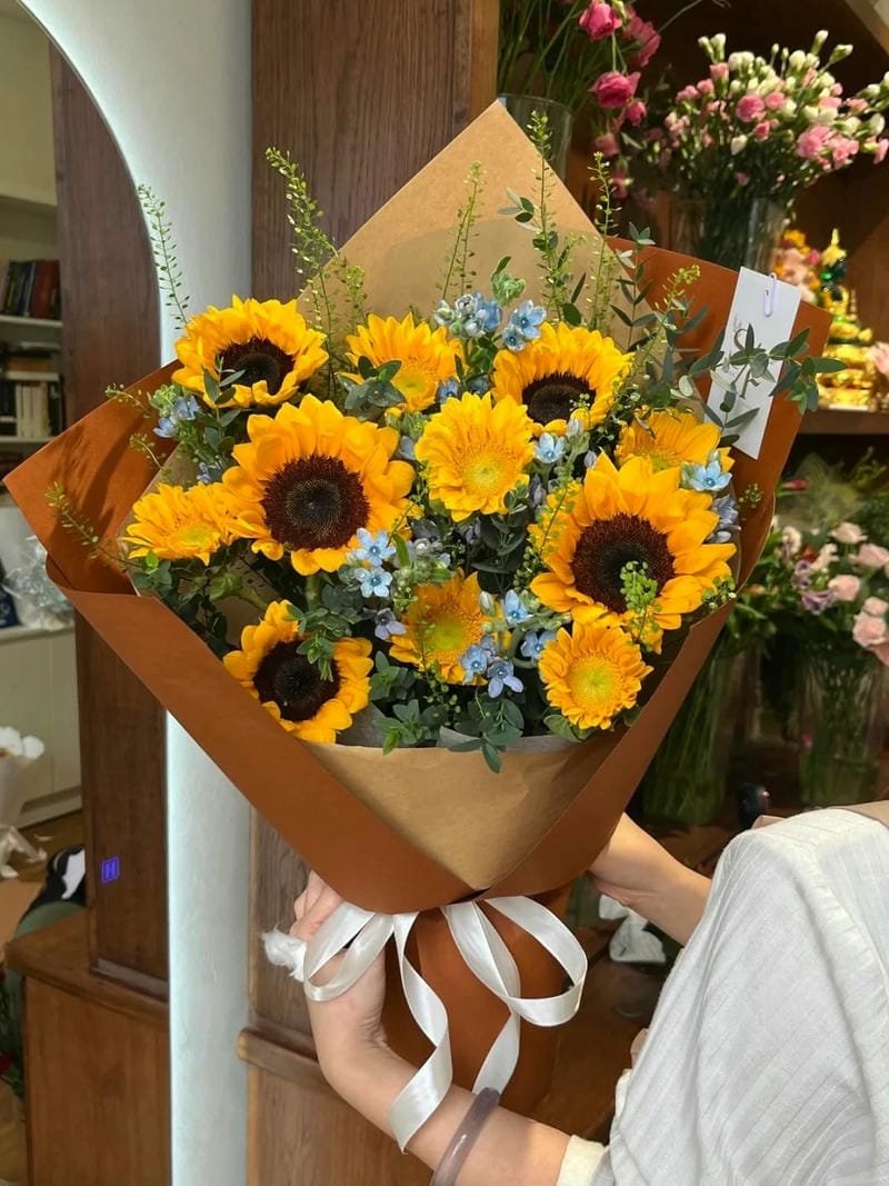 ảnh hoa hướng dương 10