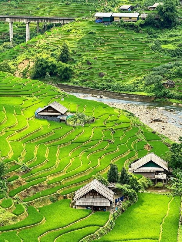 ảnh sapa 12