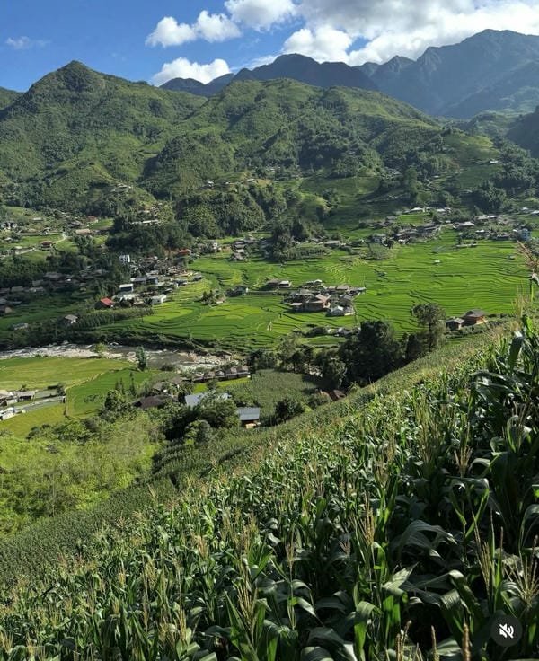ảnh sapa 16