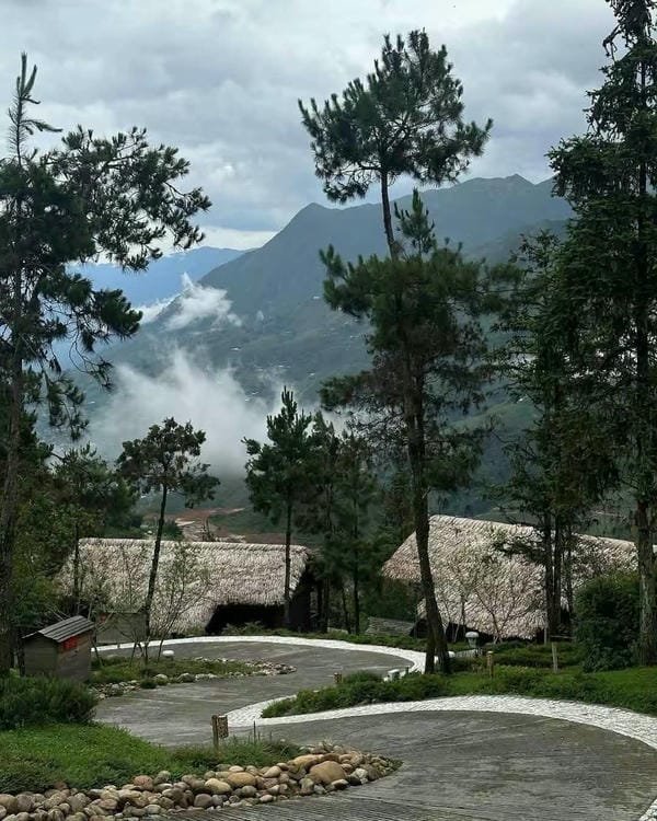 ảnh sapa 20