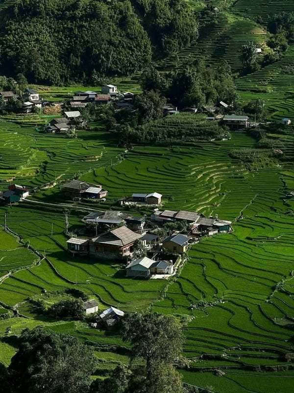 ảnh sapa 24