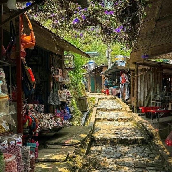 ảnh sapa 8