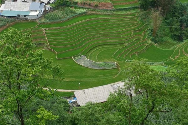 ảnh sapa 9