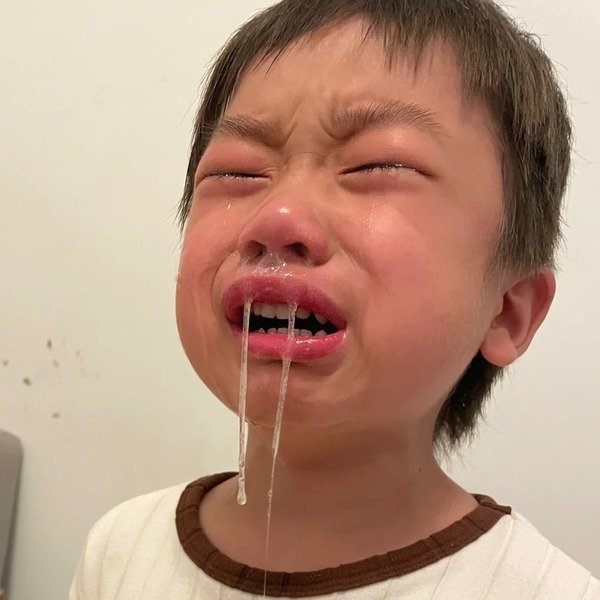 Album 190+ ảnh vui nhộn giúp ngày mới thêm nhiều tiếng cười 29 ảnh vui nhộn 7