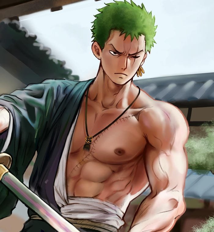147+ Ảnh Zoro phong cách lạnh lùng chuẩn kiếm sĩ mạnh nhất 24 ảnh zoro 24