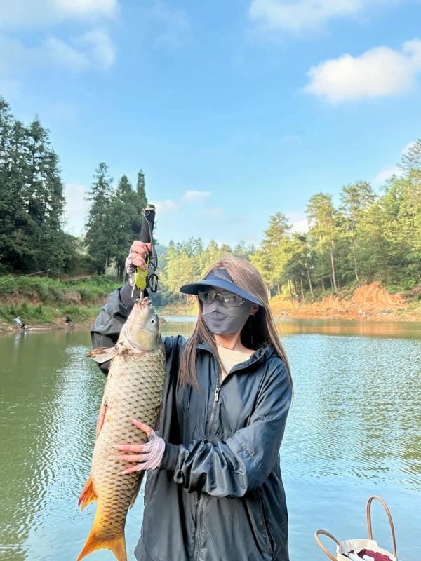 List 99+ hình ảnh con cá chép đẹp mê ly mang ý nghĩa may mắn 24 hình ảnh con cá chép 24