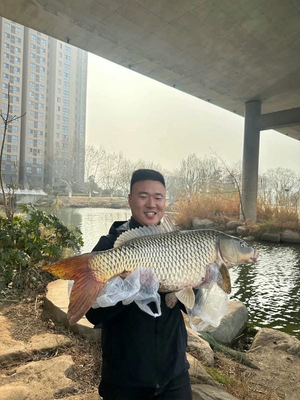 List 99+ hình ảnh con cá chép đẹp mê ly mang ý nghĩa may mắn 26 hình ảnh con cá chép 26