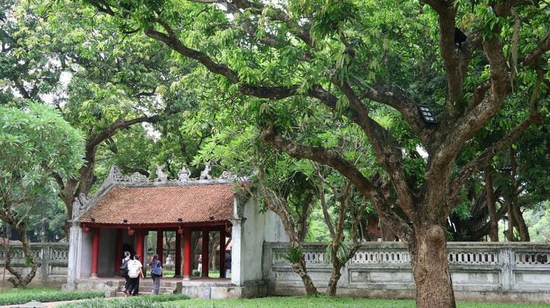 179+ Hình ảnh Văn Miếu Quốc Tử Giám lưu giữ vẻ đẹp nghìn năm 27 hình ảnh của văn miếu quốc tử giám 27