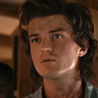 steve-harrington-la-ai-giai-ma-bieu-tuong-duoc-yeu-men-cua-s_373