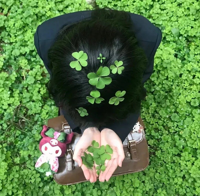 ảnh cỏ 4 lá 17
