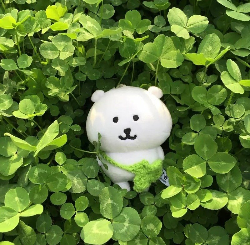 ảnh cỏ 4 lá 19