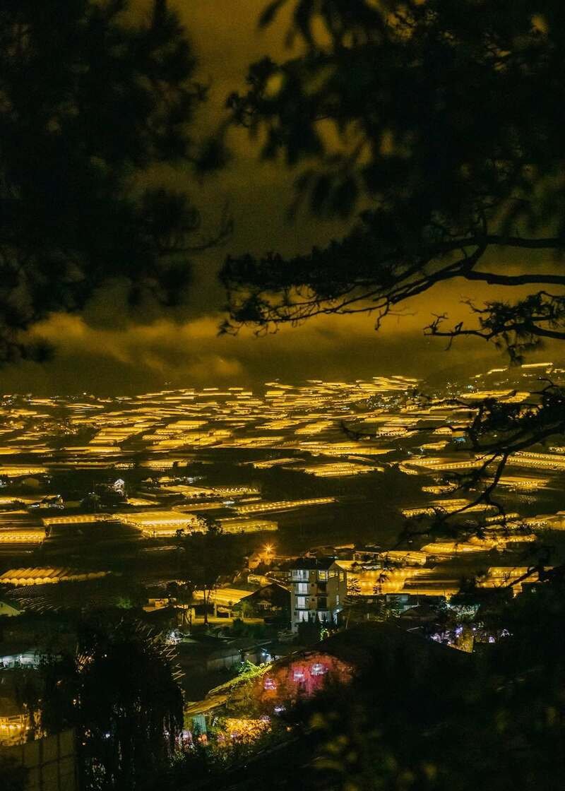 ảnh đà lạt 1
