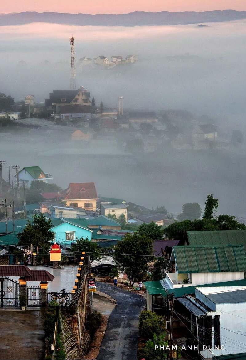 ảnh đà lạt 16