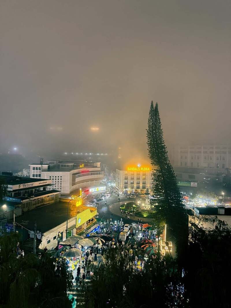 ảnh đà lạt 2