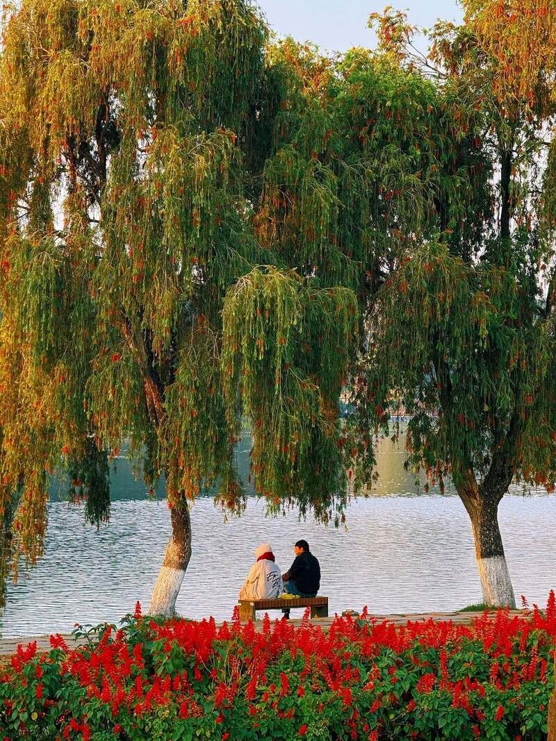 ảnh đà lạt 4