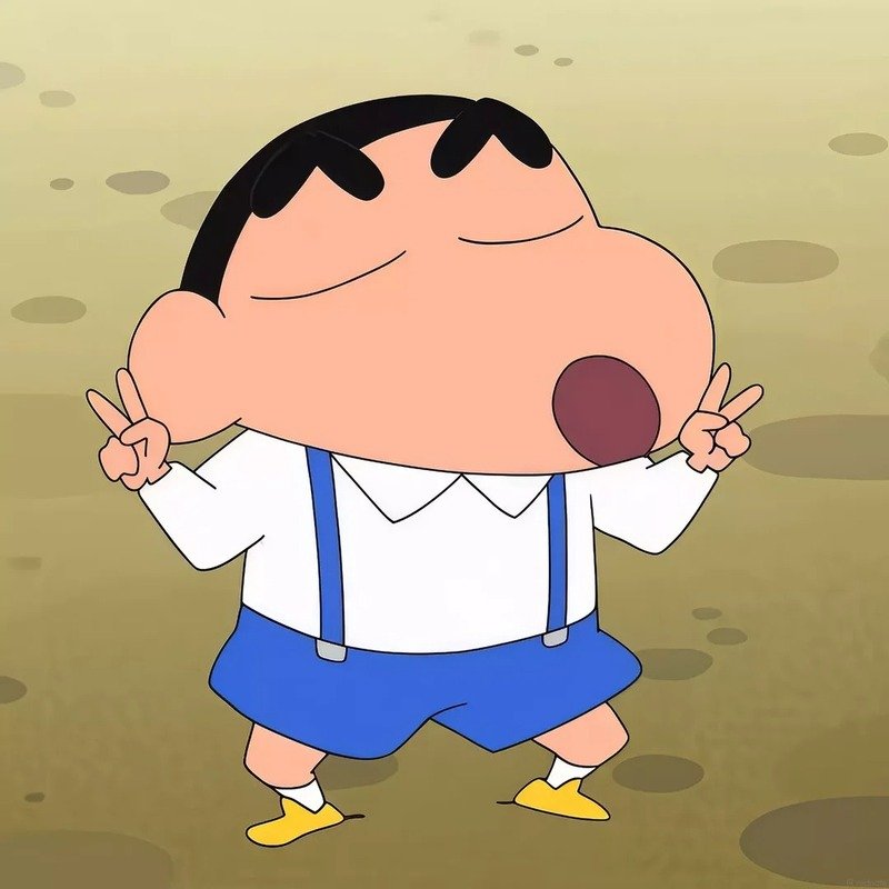 ảnh shin 10