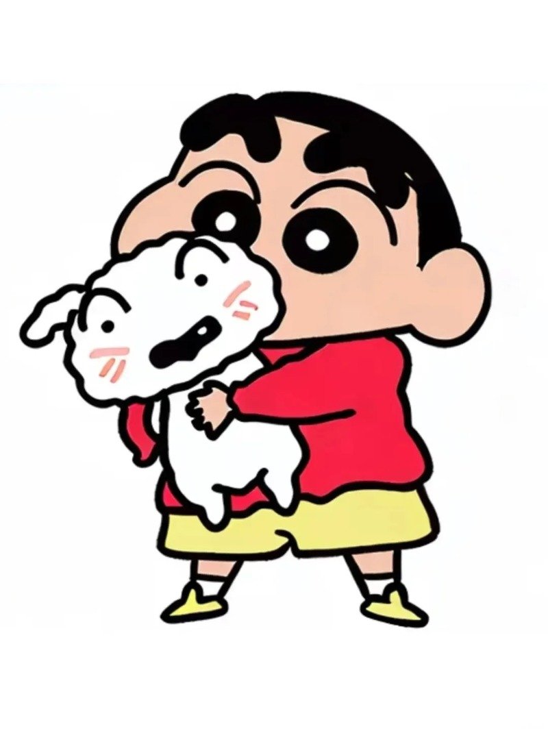 ảnh shin 11