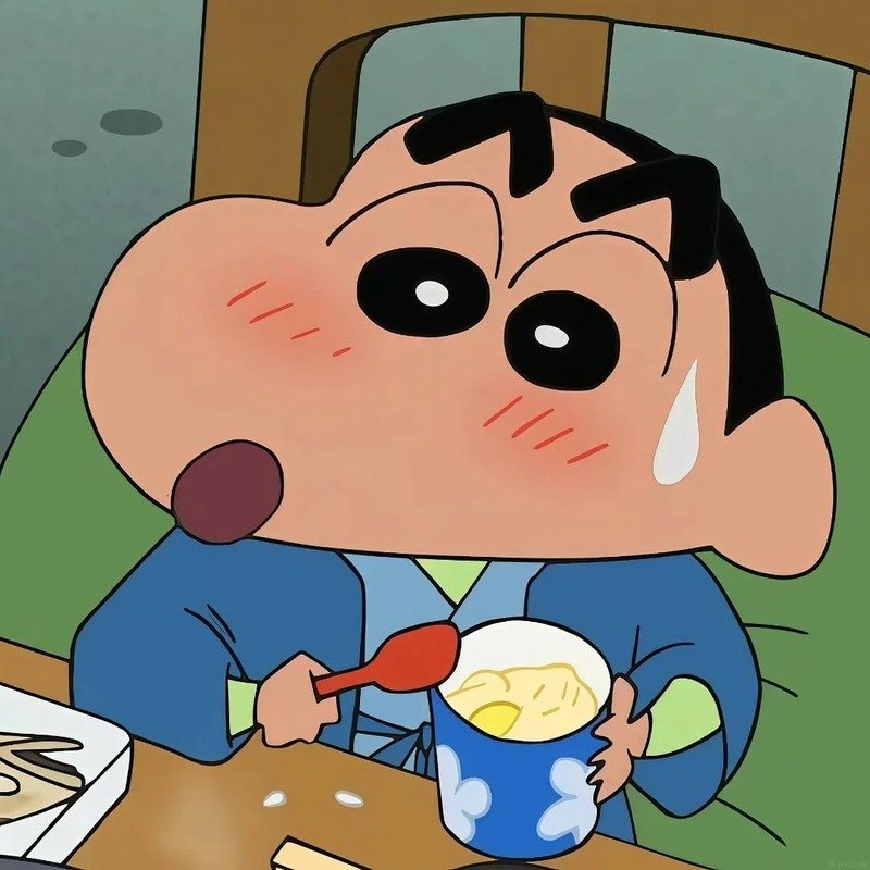 ảnh shin 13