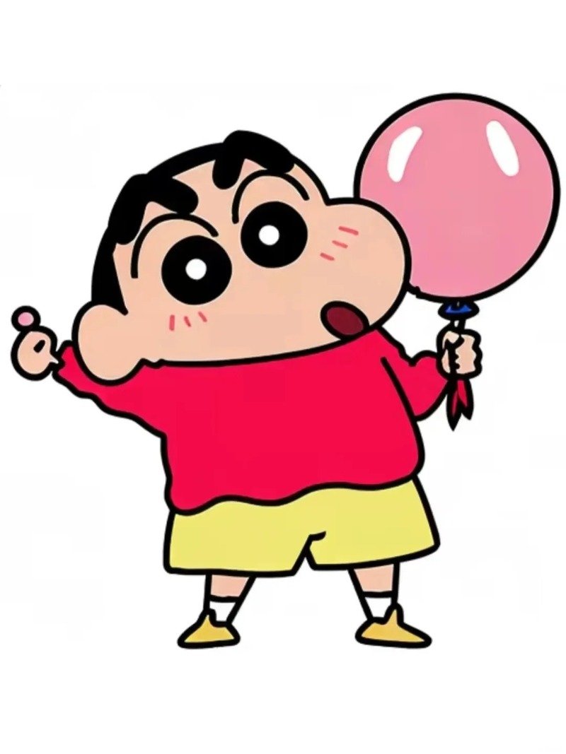 ảnh shin 14