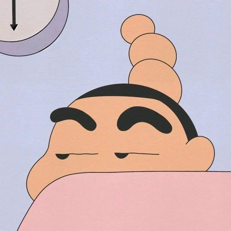 ảnh shin 22