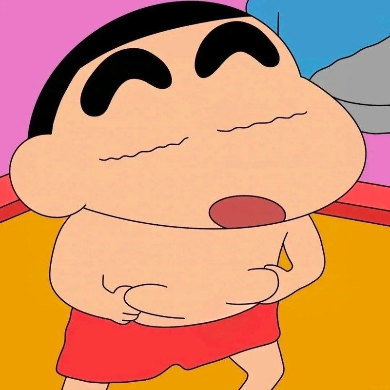 ảnh shin 30